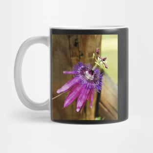 Lavender Lady Passiflora Mug